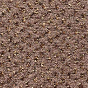  Condor Carpets Argus1