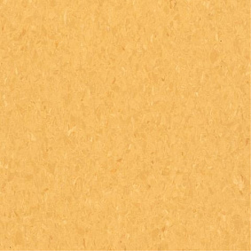  Armstrong2 Armstrong Medintone