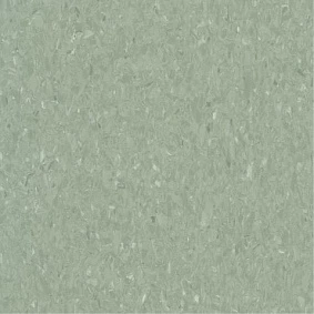  Armstrong2 Armstrong Medintone 885 359