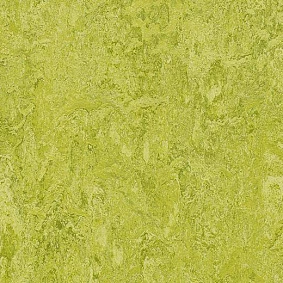  Forbo Marmoleum Modular Colour 3224