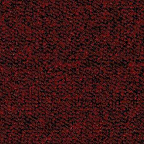  Ruscarpettiles Rct Cuba