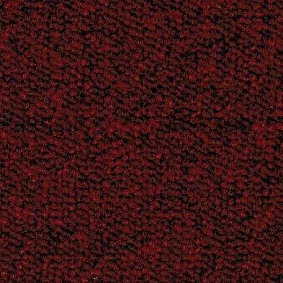  Ruscarpettiles Rct Cuba 15