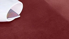 Ковролин Vorwerk Superior 1063 Vorwerk Nerz
