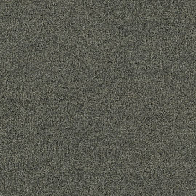  Interface Polichrome Solid