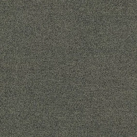  Interface Polichrome Solid 4266008 Mole