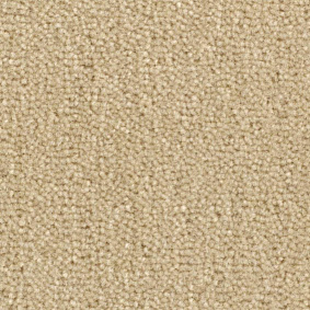  Balsan Majestic