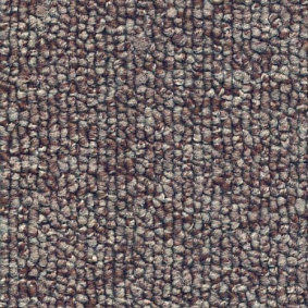  Sintelon Horizon