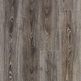  Scarlet Oak 860