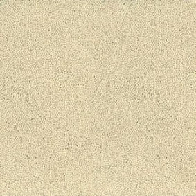  Desso Asteranne 2918