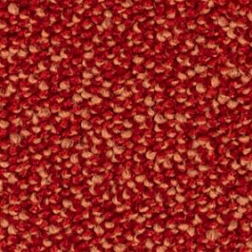  Balsan Kaviar