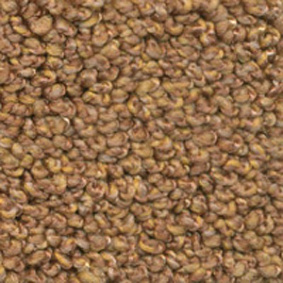  Dura Oriental
