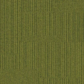  Interface 304269