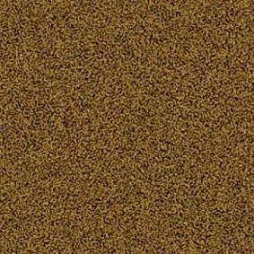  Ege 2 Highline Contrast Grainy Texture Gold Rfm52856277