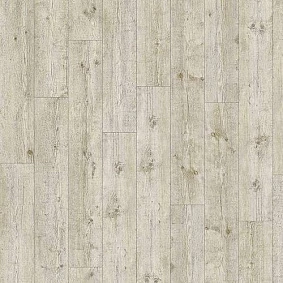  Maritime Pine 24111