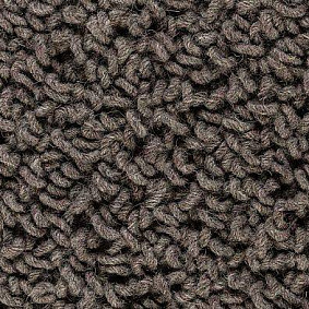  Best Wool