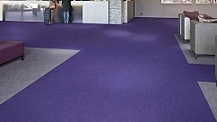 Ковролин Flotex Colour S482024 Penang Purple 