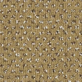  Balsan1 Balsan Impression 625