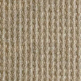  Sintelon 81738