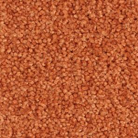  Balsan1