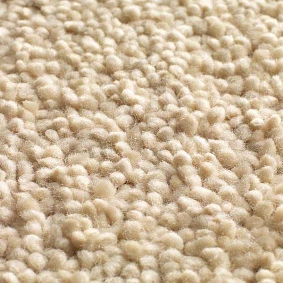  Jacaranda Carpets Mayfield Buttermilk