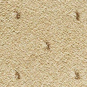  Condor Carpets Africa 115