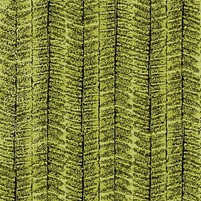  Enia Fever Ii Feather 15081