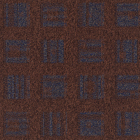  Enia