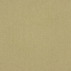  Interface 542043