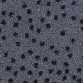 Balsan Constellation