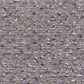  Condor Carpets Argus1