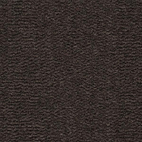  Best Wool Tasman