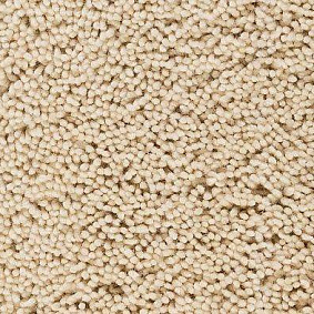  Best Wool