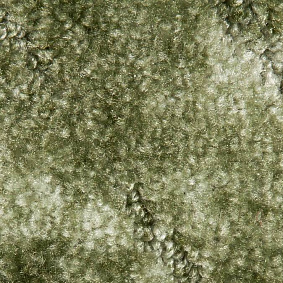  Associated Weavers Tango