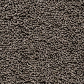  Best Wool