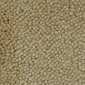  Condor Carpets Marriott 172