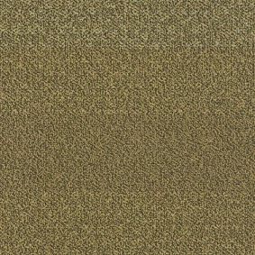  Interface 338362