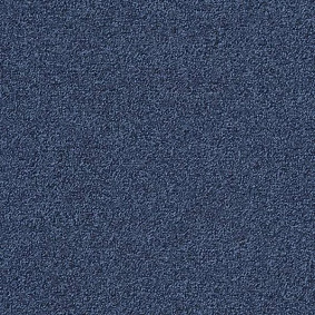  Interface Biosfera Boucle Chiara Di Luna
