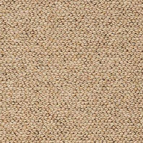  Best Wool