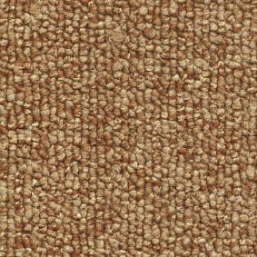  Sintelon