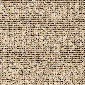  Best Wool
