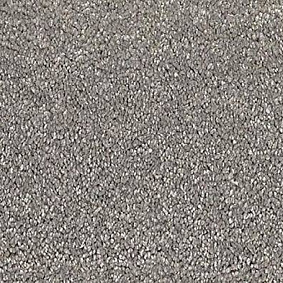  Vorwerk Passion 1001