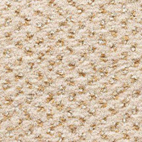  Condor Carpets Argus1