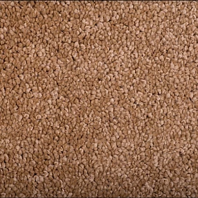  Condor Carpets Monte Bianco 192