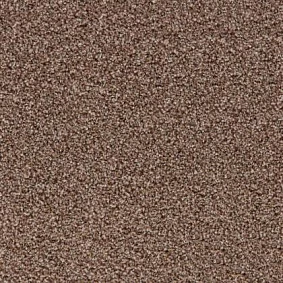  Tapibel 33622