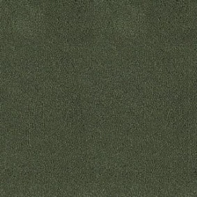  Desso Asteranne 7922