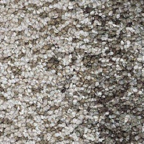  Balsan1 Balsan Nexus Link 637