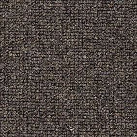  Best Wool