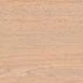  2516