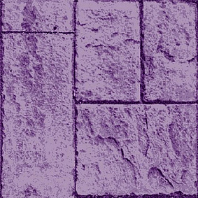  Enia
