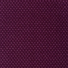  Sintelon 78913